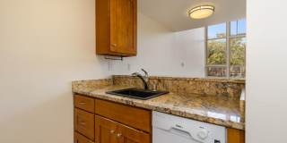 Marlene Renee Gallery 7