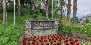 Summit At Warner Center Gallery 16