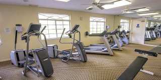 **PELICAN BAY**3 BEDS / 2 BATHS**ST. SIMONE - FURNISHED SEASONAL RENTAL** Gallery 17