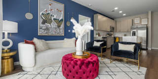 Everly on 401 Gallery 5