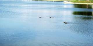 416 Buttonwood Place Gallery 49