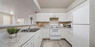 Forest Creek Gallery 4