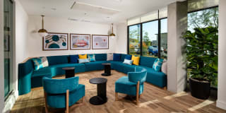 Azul North Park Gallery 48