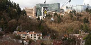 TreeHouse Gallery 21