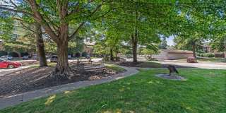 Cedarwood Village Gallery 29