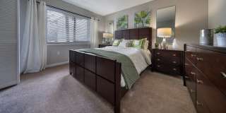 Enclave at Lake Ellenor Gallery 17