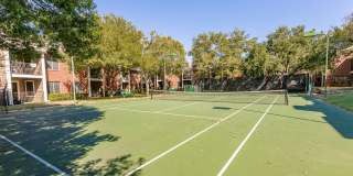 The Orion The Orion Gallery 16