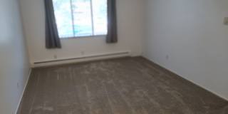 10091 Sakura Drive Gallery 1