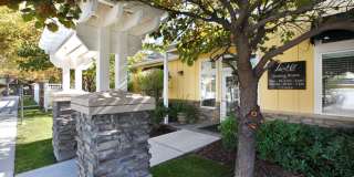 Liberty Hill Gallery 23