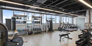 The Grand Gallery 28