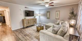 Juniper Springs Gallery 26