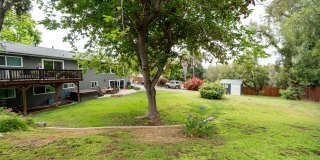 3709 Avenida Palo Verde Gallery 28