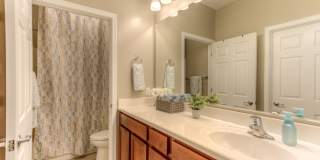 9116 W Silver Cholla Dr Gallery 9