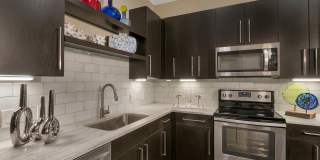 Aster Apartments Gallery 19