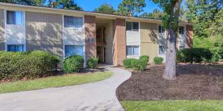 Ridgewood Gallery 17