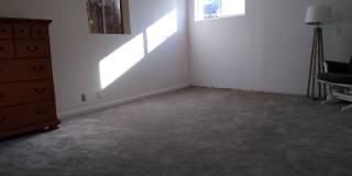 Adorable, Funky, Solar 3 Bedroom 2 Bath Home in Highlands/Sloans Lake! Gallery 33