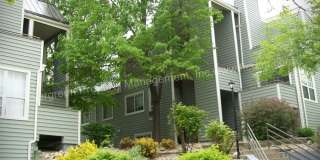 Beautiful One-Bedroom Apartment with Washer/Dryer Near CSU! Gallery 1