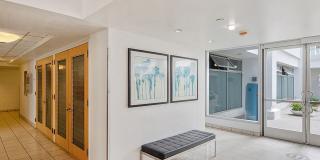 Pacific Plaza Gallery 20