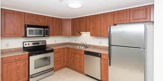 Chestnut Hill East Gallery 9
