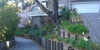 Furnished Mountain Oasis in Felton! Gallery 1