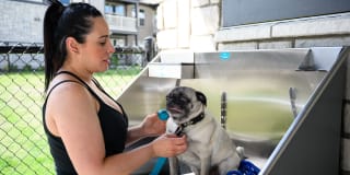 Springs at Lake Elmo Gallery 28