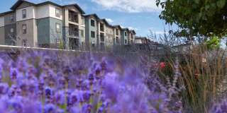 Oquirrh Hills Gallery 8