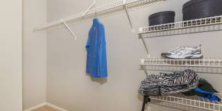 Lakeshore Apartments Gallery 49