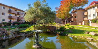 Modern 2-Bedroom Condo with Pool and Koi Pond Views Gallery 37