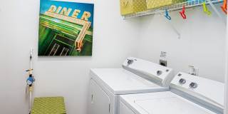 Albany Glen Gallery 9