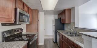 Ashford Remington Gallery 28