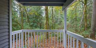 Village Fair Gallery 3