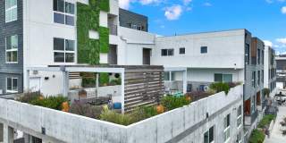 The Perch Apartments Gallery 6