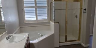 <b>Three Bedroom Wingfield Springs Home on Corner Lot<br><br> Gallery 13
