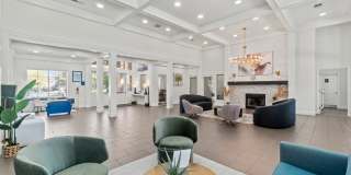 Milestone Gallery 17