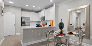 The Regency at Johns Creek Walk Gallery 1