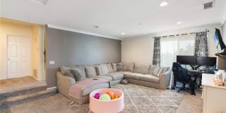 15736 Home Court Gallery 16