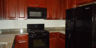 25494 CASALE Terrace Gallery 4