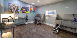 Rosemont Dunwoody Gallery 3
