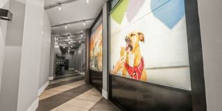 The Penrose Southend Gallery 74