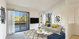 Lakeshore Apartments Gallery 1