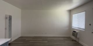 123 N. Thirteenth Ave Gallery 3