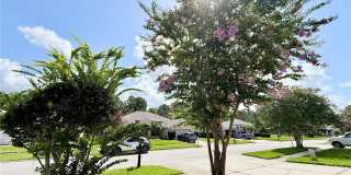 14606 CORAL BERRY Drive Gallery 39