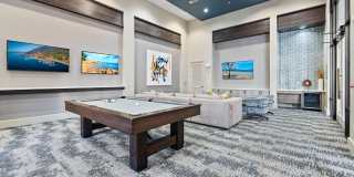 Olympus at Memorial Gallery 19
