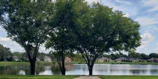 3011 Partridge Point Trl Gallery 38
