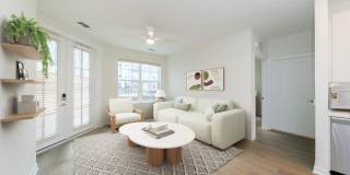 Alexan Harrison Apartments Gallery 23