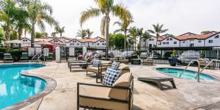Newport Palms Apartments Gallery 18