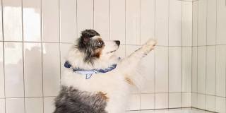 Station at Lake Murray Gallery 62