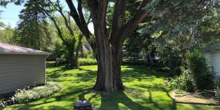 Well Maintained 3Bed/2Bath Single Family HUGE Backyard! Gallery 16