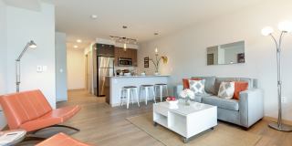 Zephyr Gallery 4