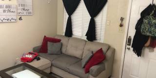 College Station - 1 bedroom /1 bath condo in Northgate area!! - Walking or biking distance to TEXAS A&M Gallery 8